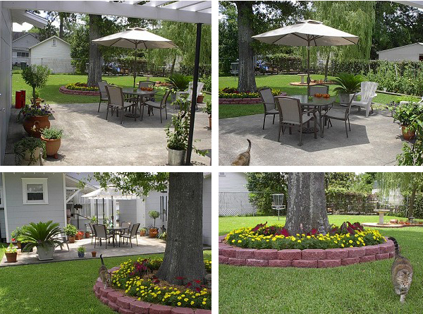 backyard-new