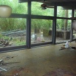 A view from the great room into the back yard.  The yard was totally overgrown. YIKES!  Look at all that bamboo.