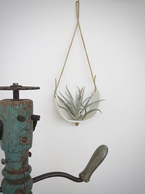 air plant cradle