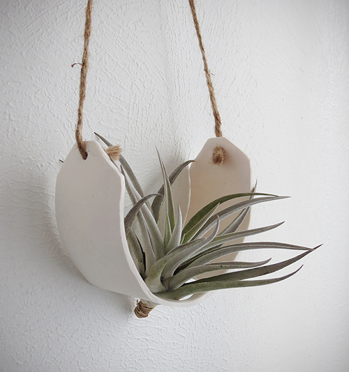 Air plant cradle