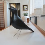 blackbird2